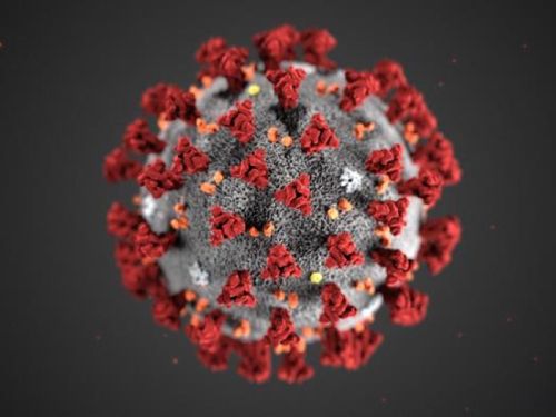 Vista al microscopio del Coronavirus