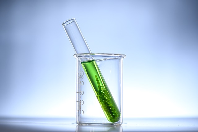Alga